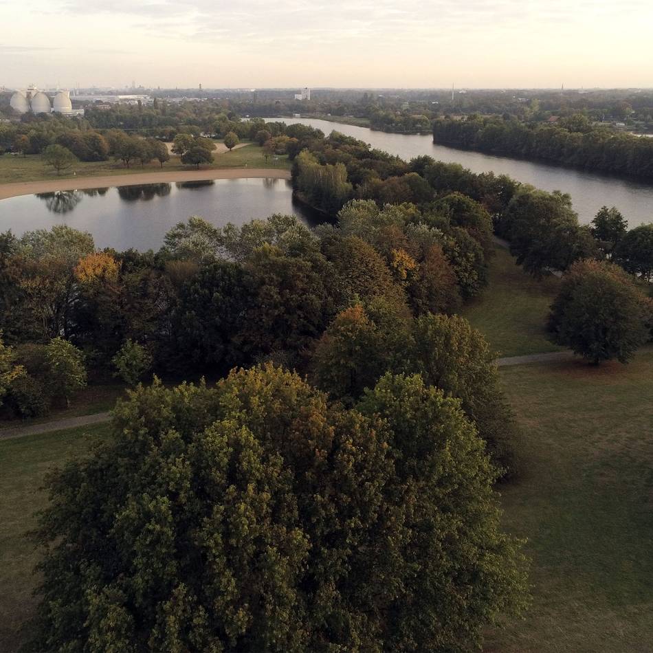 Seuche auch in Krefeld: Erste Geflügelpest-Fälle auf Krefelder Stadtgebiet gemeldet
