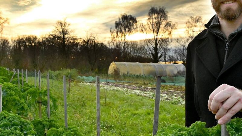 Solidarische Landwirtschaft in Krefeld: Nachhaltiges Anbaukonzept braucht dringend Mitstreiter
