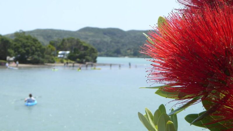 So feiert ein Leverkusener in Neuseeland: Weihnachten am anderen Ende der Welt