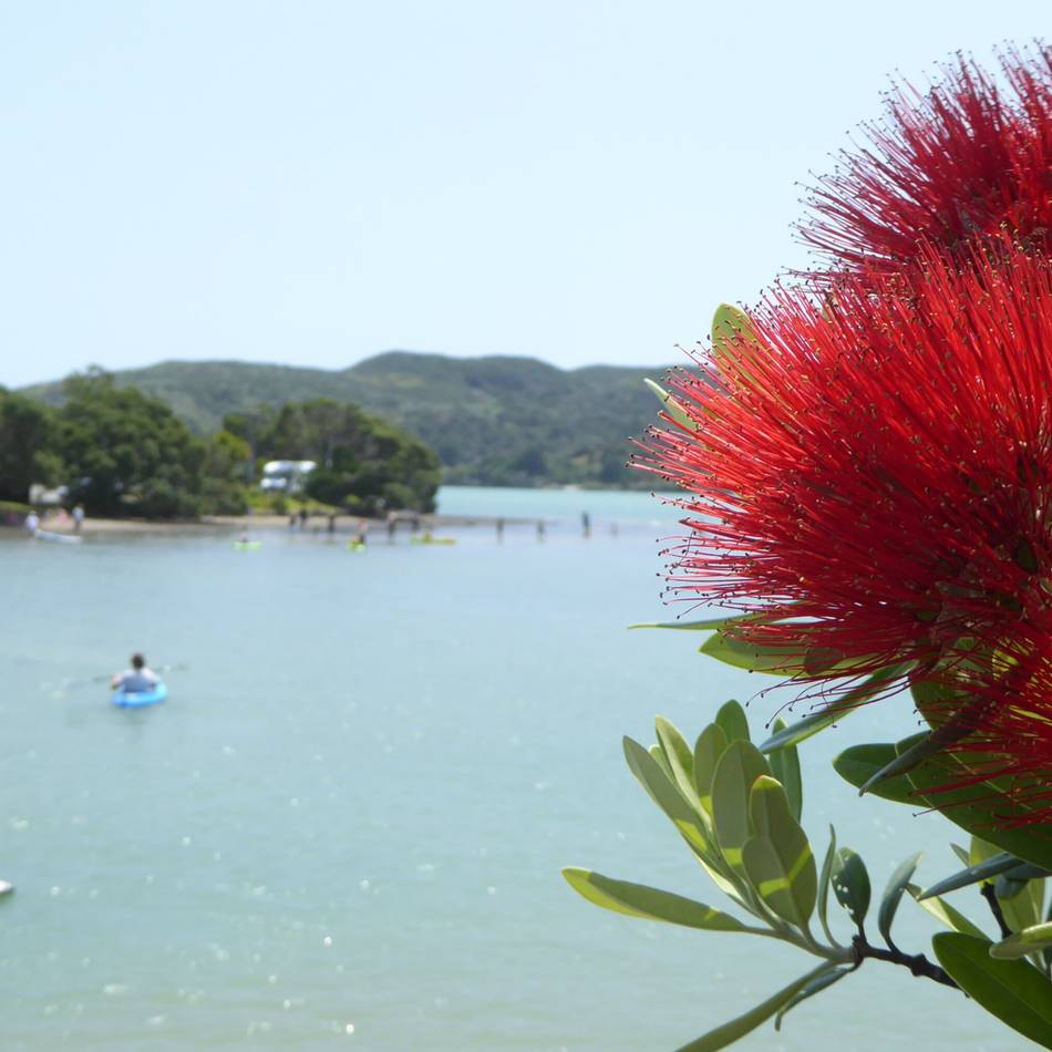 So feiert ein Leverkusener in Neuseeland: Weihnachten am anderen Ende der Welt