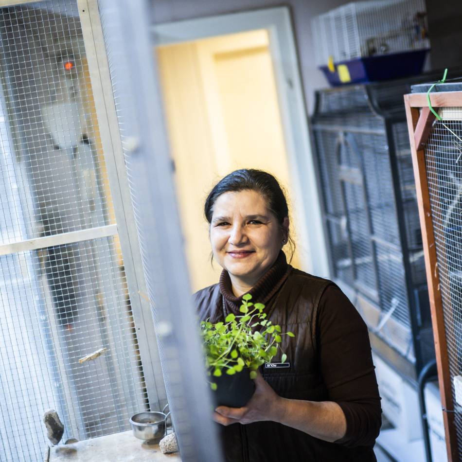 Verein „Tierhilfe Streuner & Co.“: „Ein letztes, schönes Zuhause“ – für die Tiere, die niemand mehr haben will