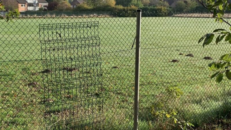 Ausschuss für Bauen in Schwalmtal: Startschuss für Wohnraumentwicklung Am Nottbäumchen