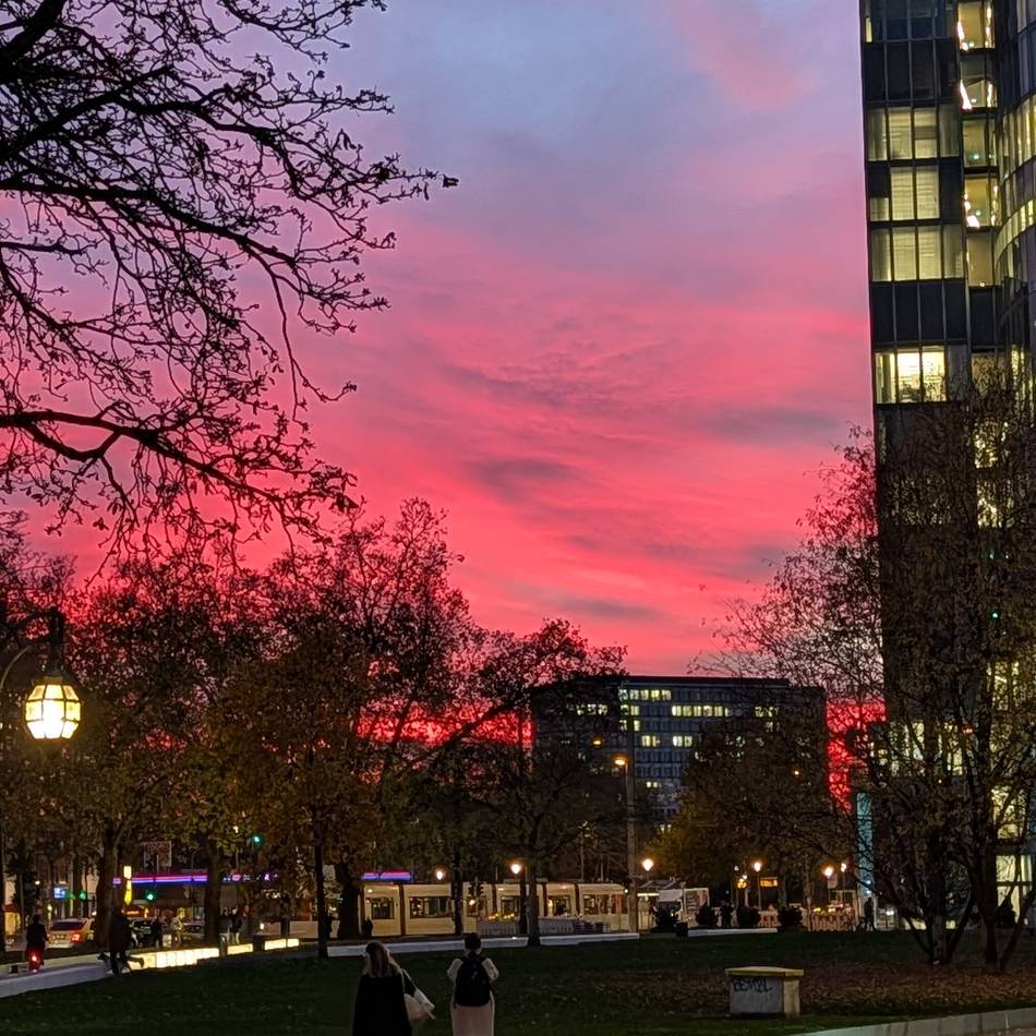 Vorfall in Düsseldorf: 20-Jähriger liefert sich Verfolgungsjagd mit Polizei und verursacht Unfall