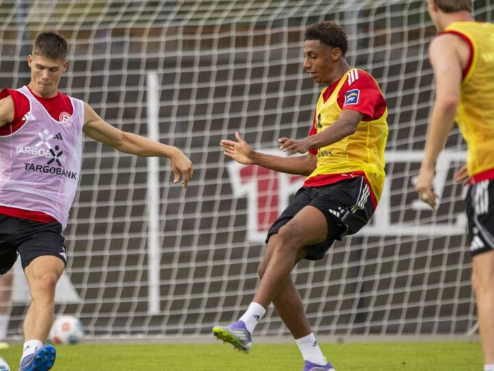 So würde unser Reporter aufstellen: Geordnet, kreativ und präsent im Strafraum – wie Fortuna Schalke fordern könnte