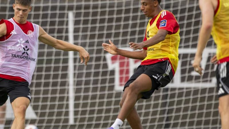 So würde unser Reporter aufstellen: Geordnet, kreativ und präsent im Strafraum – wie Fortuna Schalke fordern könnte