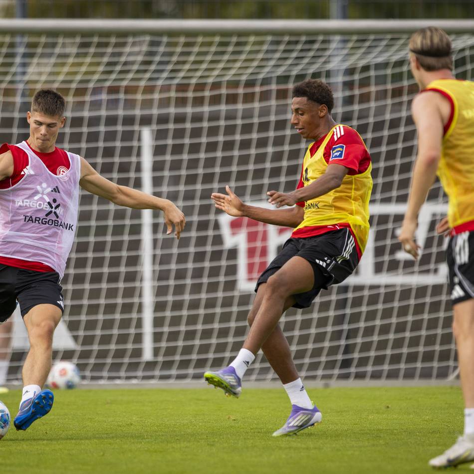 So würde unser Reporter aufstellen: Geordnet, kreativ und präsent im Strafraum – wie Fortuna Schalke fordern könnte