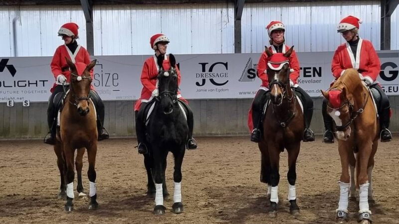 Nikolausfeier: Besonderer Abschluss im Jubeljahr der Pferdesportgemeinschaft