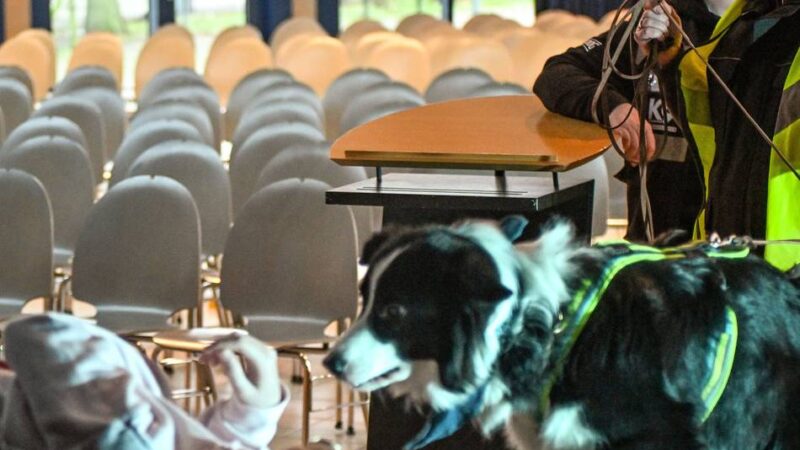 Vermisste Personen finden: Mantrailing-Übung im Gymnasium in Anrath