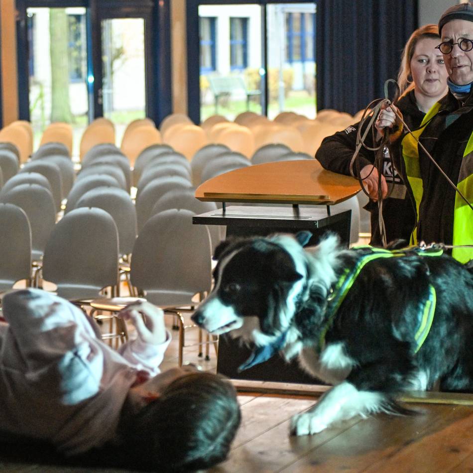 Vermisste Personen finden: Mantrailing-Übung im Gymnasium in Anrath