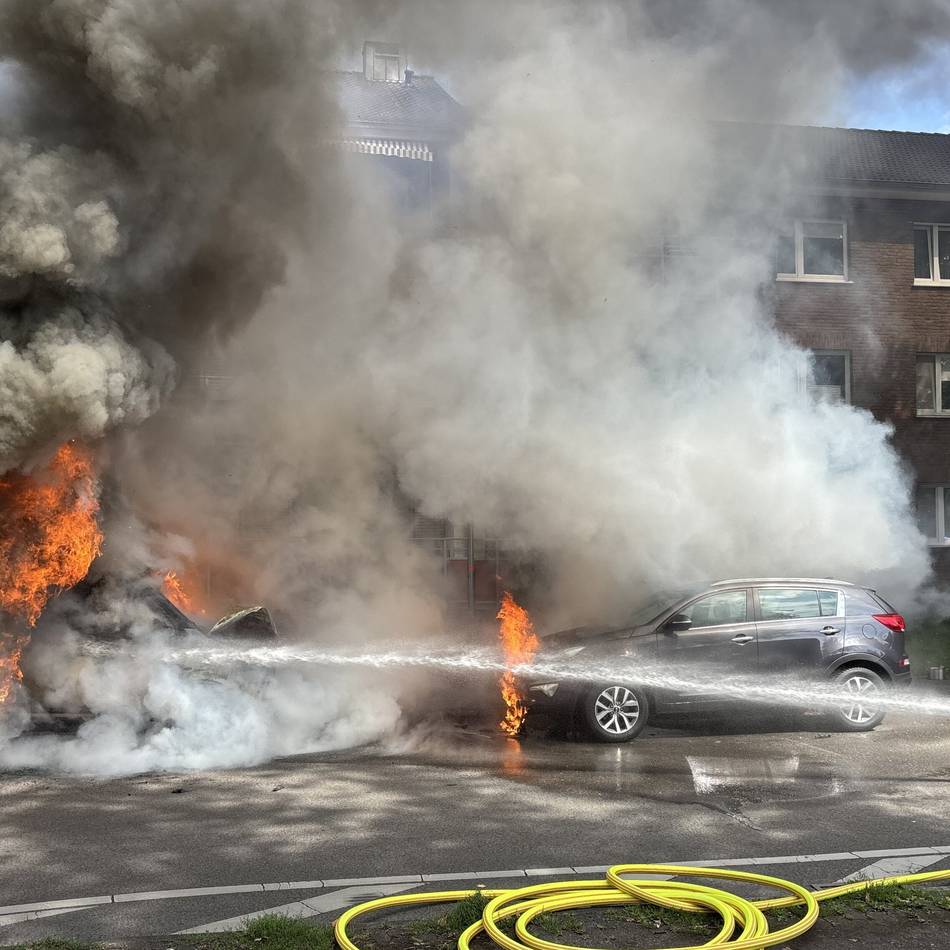 Ehrenamt in Meerbusch: „Ihr Engagement rettet Leben und stärkt den Zusammenhalt in unserer Stadt“