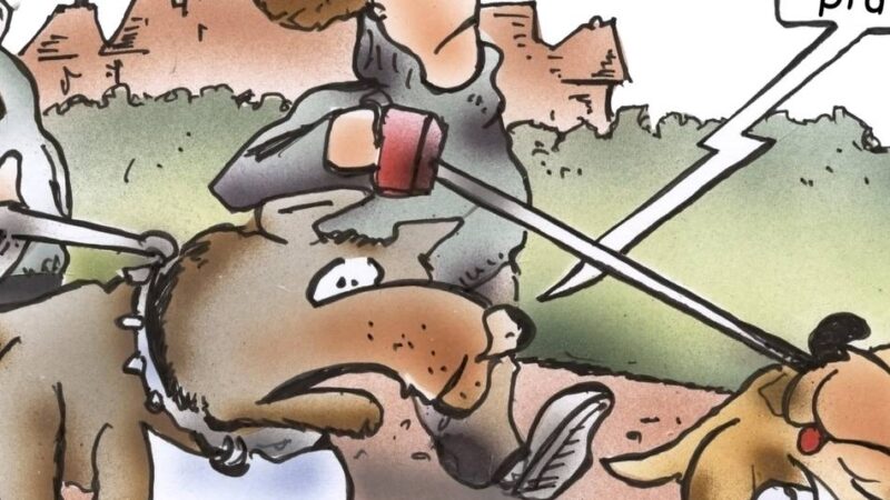 In Dinslaken abgeschafft: Warum Ihr Hund ohne Steuermarke in Misskredit geraten könnte