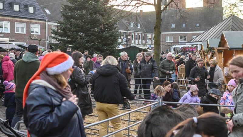 Weihnachtsmarkt in Uedem: Esel und Schafe zum Anfassen beim Büdchenzauber