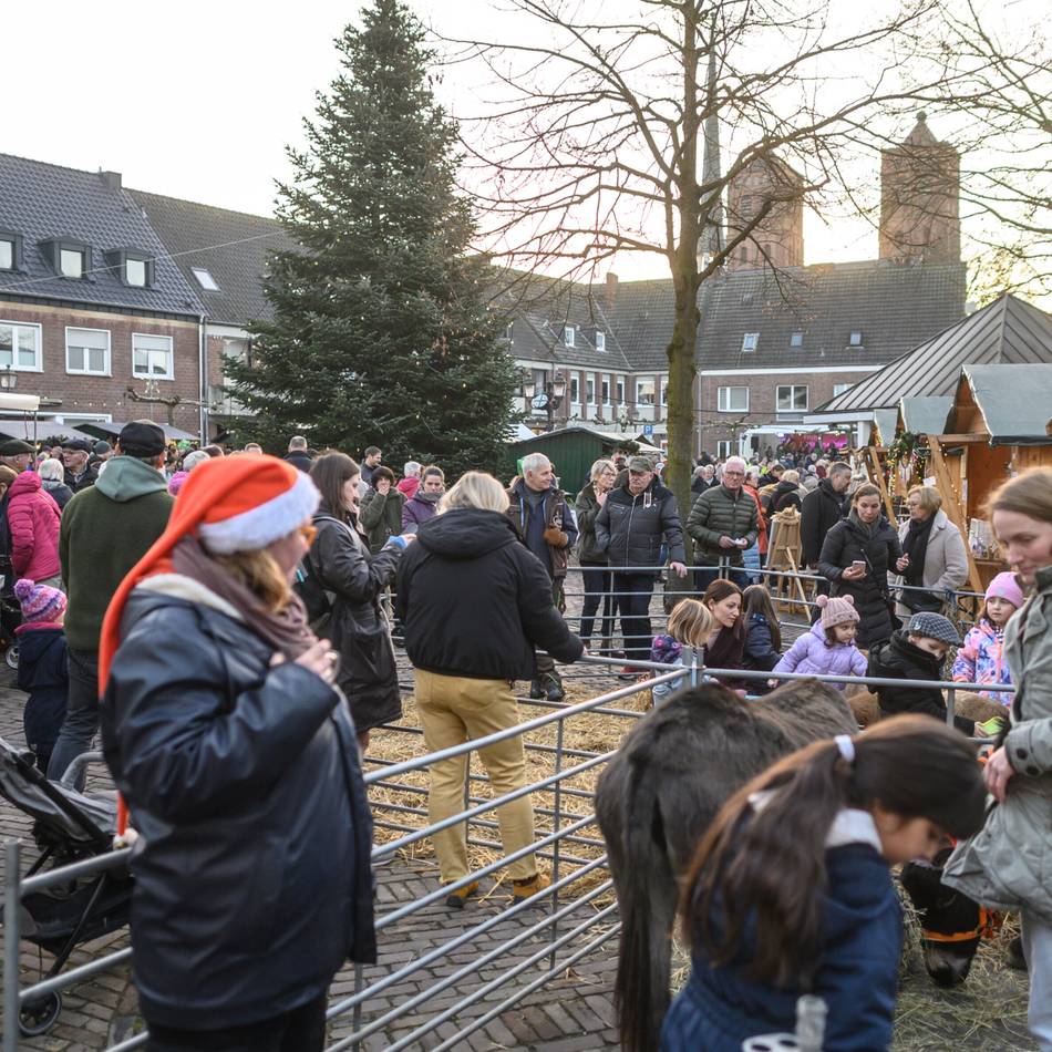 Weihnachtsmarkt in Uedem: Esel und Schafe zum Anfassen beim Büdchenzauber