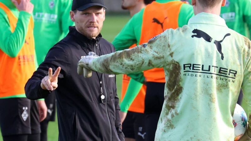 Trainer, Teamgefüge, Stabilität: Borussia hat dem VfL Wolfsburg derzeit einiges voraus