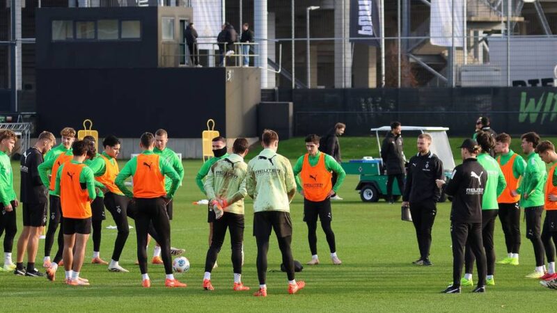 Ab 17 Uhr in einem Video-Format: Wir beantworten Ihre Fragen rund um Borussia