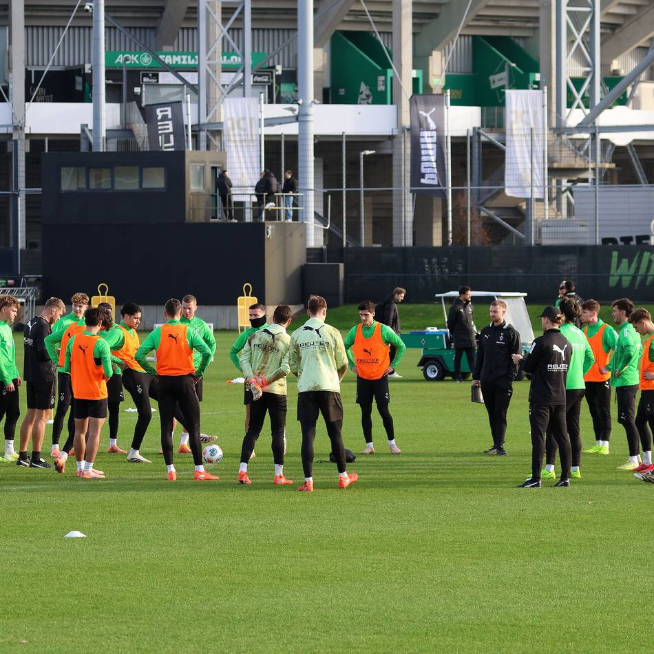 Ab 17 Uhr in einem Video-Format: Wir beantworten Ihre Fragen rund um Borussia