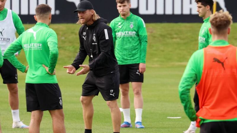 „Ein bisschen zu wild“: Hier sieht Polanski bei Borussia noch Entwicklungspotenzial