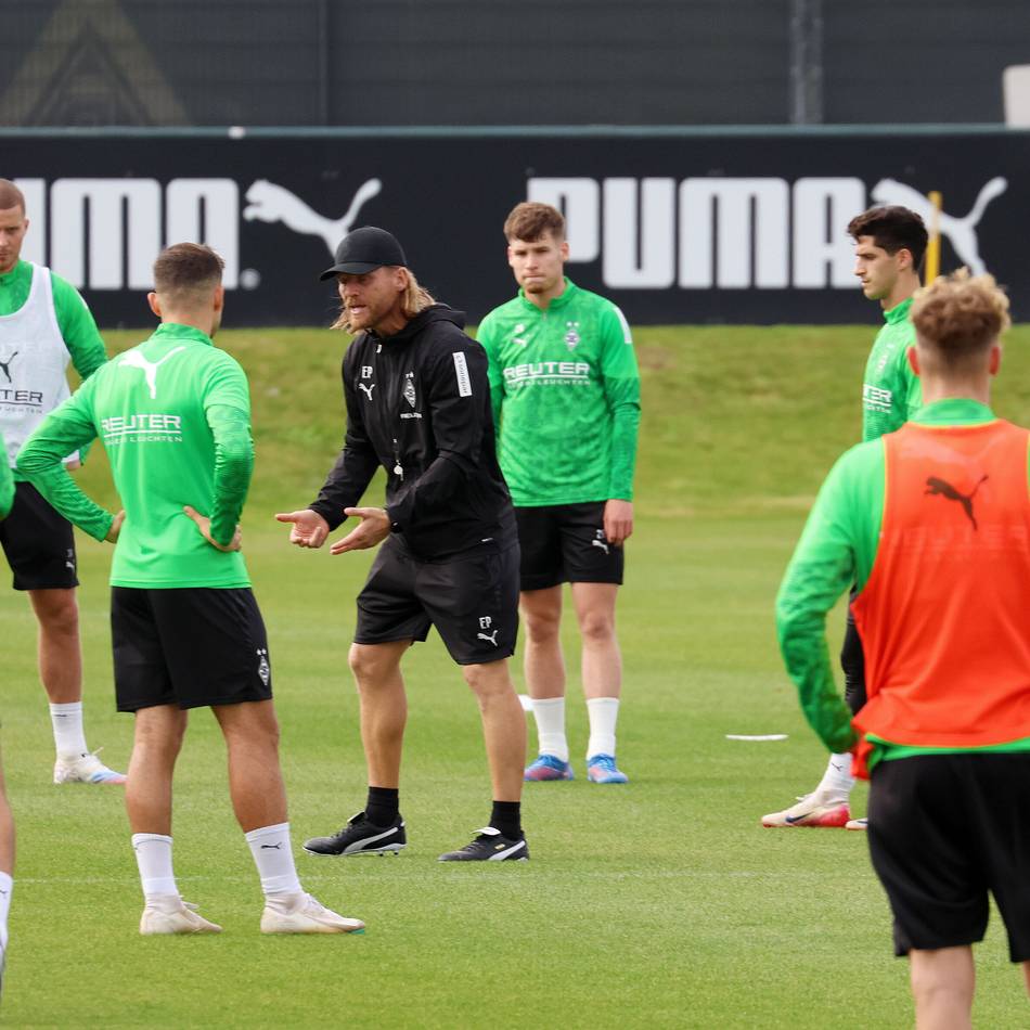 „Ein bisschen zu wild“: Hier sieht Polanski bei Borussia noch Entwicklungspotenzial