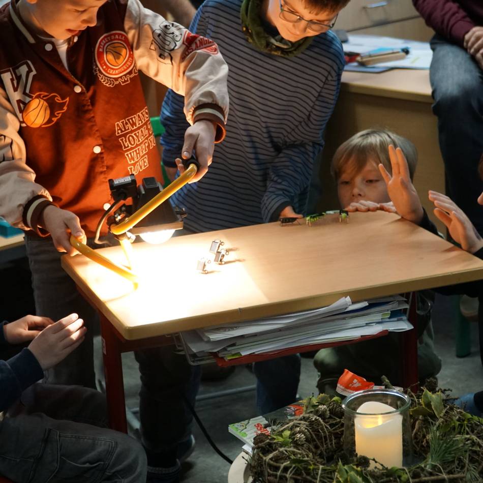 Umweltaktion in Kückhoven: Schüler lernen, wie man Energie gewinnt