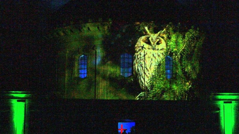 Krefelder Hauptfriedhof wird illuminiert: „So habe ich den Friedhof noch nie erlebt“