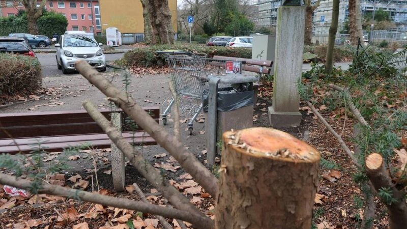 Ärgernis auf Fürstenbergplatz Leverkusen: Kahlschlag soll Wildpinkler vertreiben
