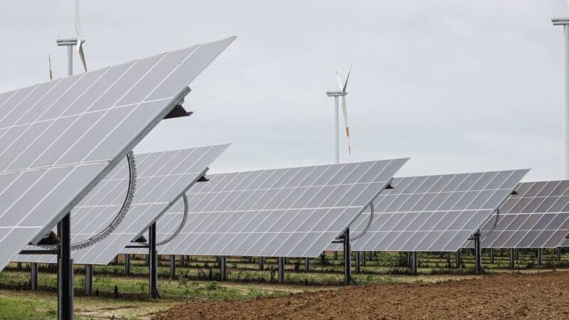 „Die Stadt Mettmann hat auf ihren Dächern erheblichen Nachholbedarf“: Strom vom Acker begeistert die Grünen