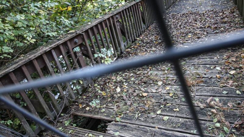 Marode Brücke im Grevenbroicher Stadtpark: Holz oder Beton? Erste Varianten für Neubau vorgestellt