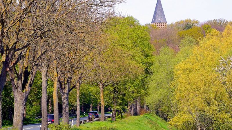 Hochwasserschutz in Birten: Stadt Xanten fordert Nachbesserungen an Planungen für Betonwand