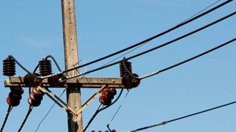 320 Holzmasten werden gecheckt: Sicherheitsüberprüfung an Strommasten in Dormagen