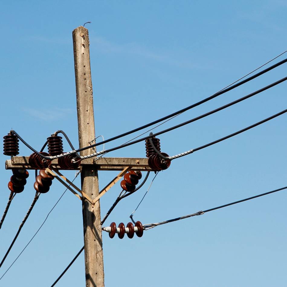 320 Holzmasten werden gecheckt: Sicherheitsüberprüfung an Strommasten in Dormagen