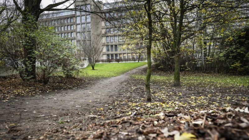 Aus der Bezirksvertretung: „Städtebaulicher Wahnsinn, was da geplant wird“ – Sorge um Oberkassels schwindende Grünflächen