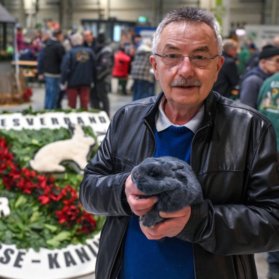 Wochenende der Kaninchenzüchter: Landesschau in Kevelaer