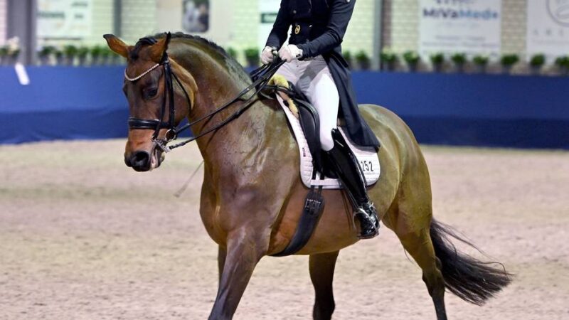Dressur-Event in Sevelen: Geglückte Premiere mit einem Paralympics-Star