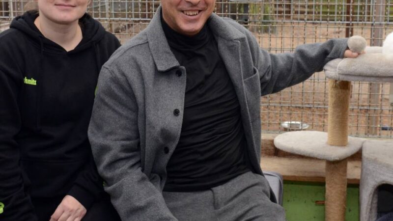 Tipps vom Tierheim Dormagen: Silvesterstress für Tiere – diese Tage sind besonders kritisch