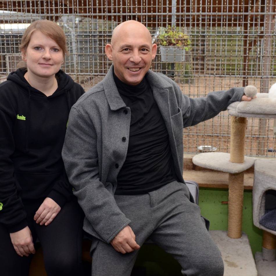 Tipps vom Tierheim Dormagen: Silvesterstress für Tiere – diese Tage sind besonders kritisch