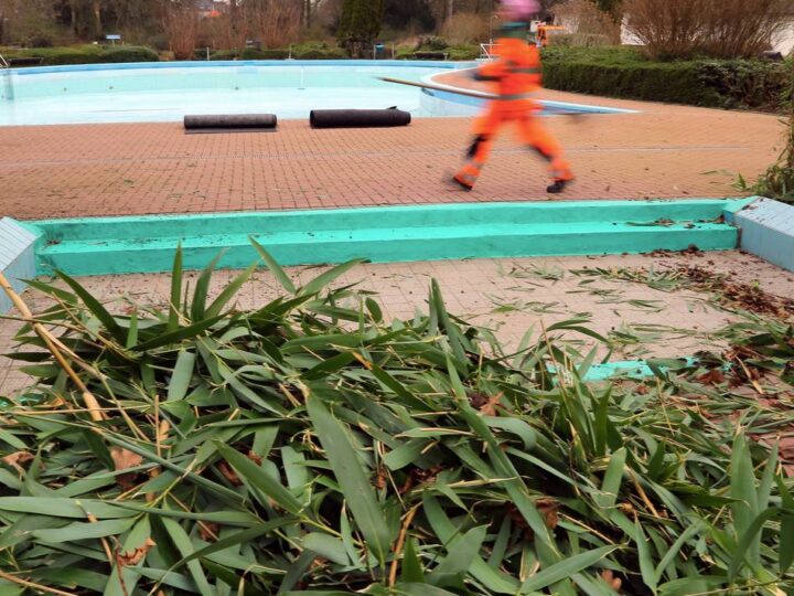 DLB notorisch klamm: Grünpflege in Rheinberg bleibt ein Notfall