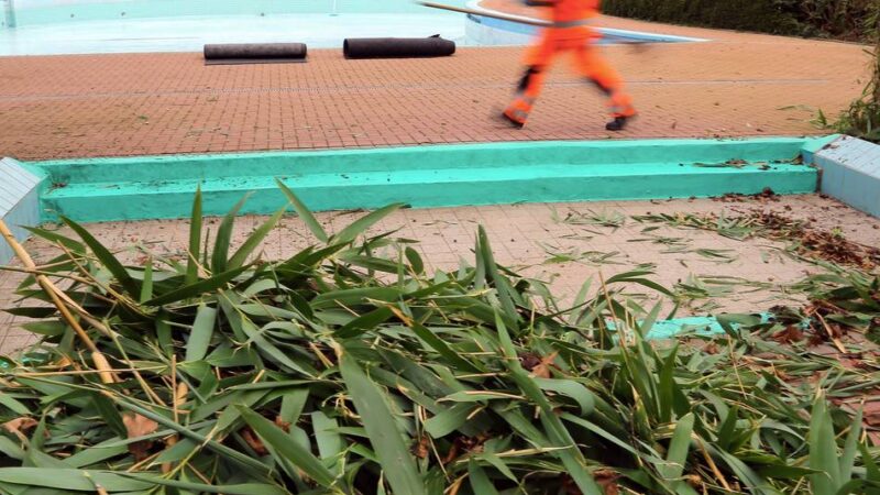 DLB notorisch klamm: Grünpflege in Rheinberg bleibt ein Notfall