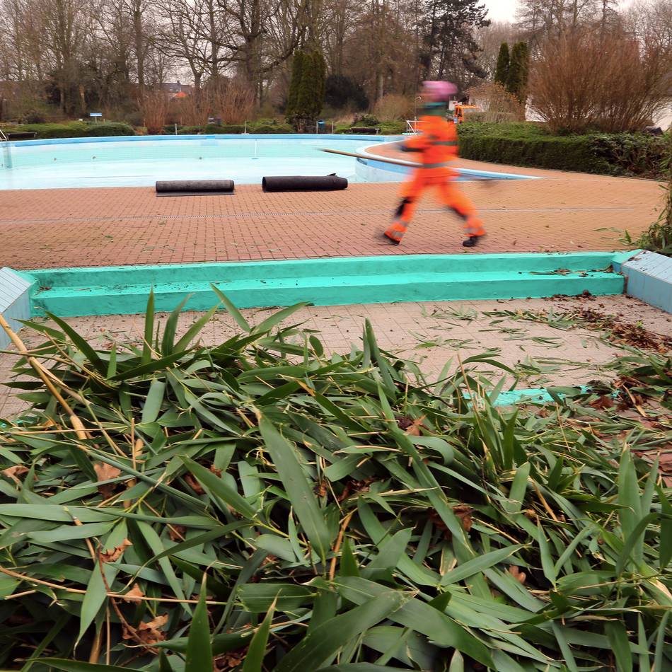 DLB notorisch klamm: Grünpflege in Rheinberg bleibt ein Notfall