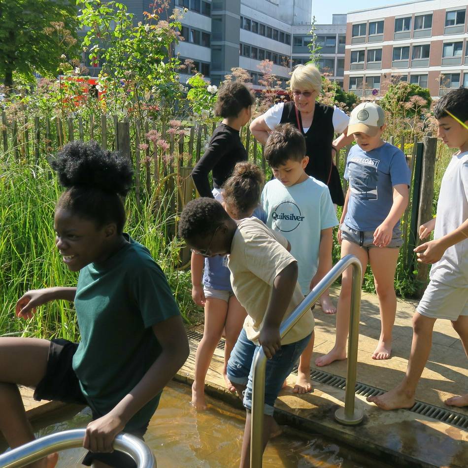 Die Kraft der Elemente: „Fünf gewinnt“: Kneipp-Verein stellt Programm für 2026 vor