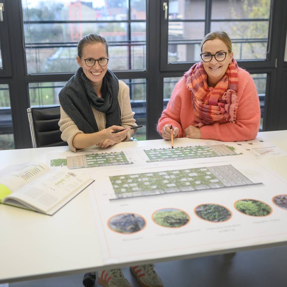 Wohnen in Kleve: Die grüne Gewoge-Wand an der Spyckstraße soll blühen