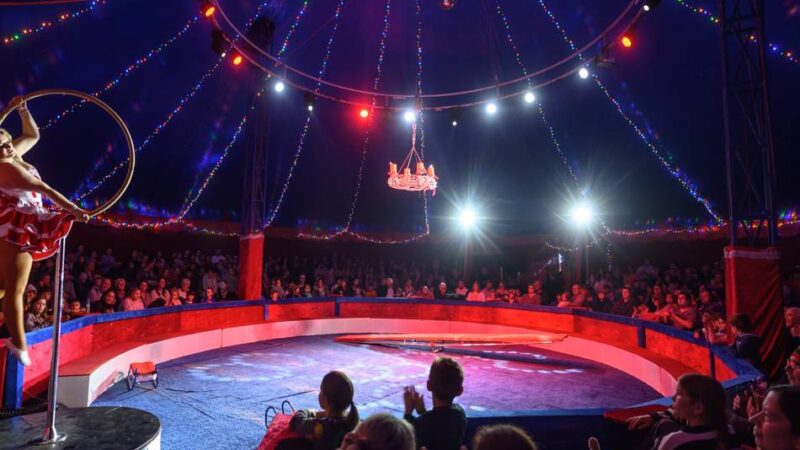 Aufführungen in Kleve: Das bietet der Klever Weihnachtscircus