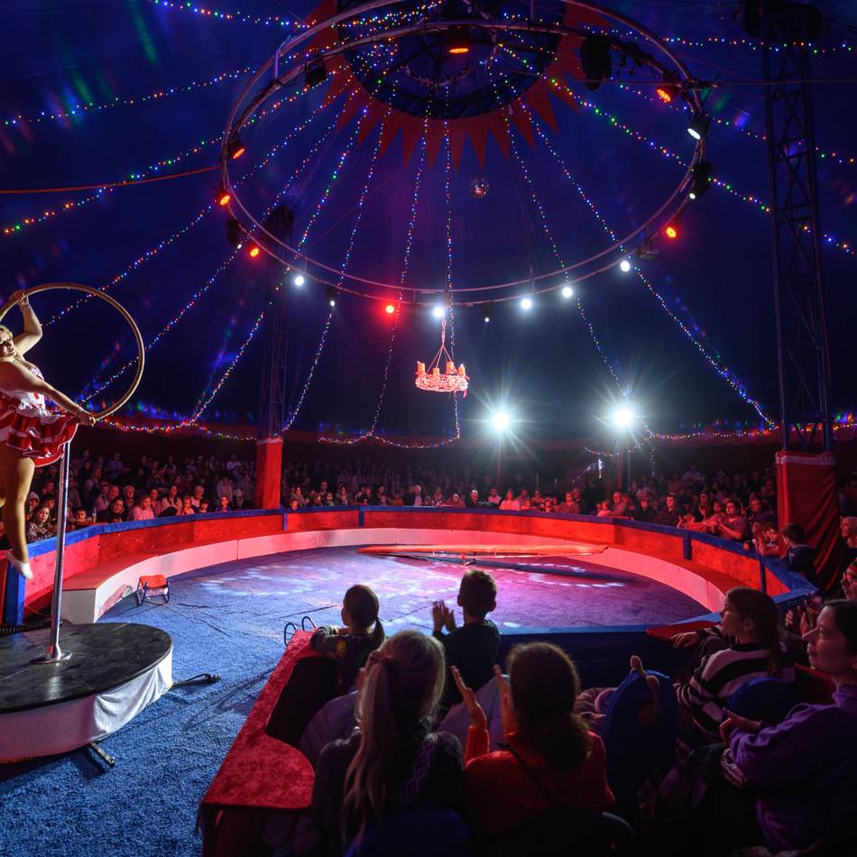 Aufführungen in Kleve: Das bietet der Klever Weihnachtscircus