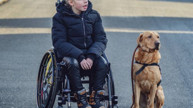 Assistenzhund in Ausbildung: Wie Labrador Didda Lenis schwerste Momente leichter macht