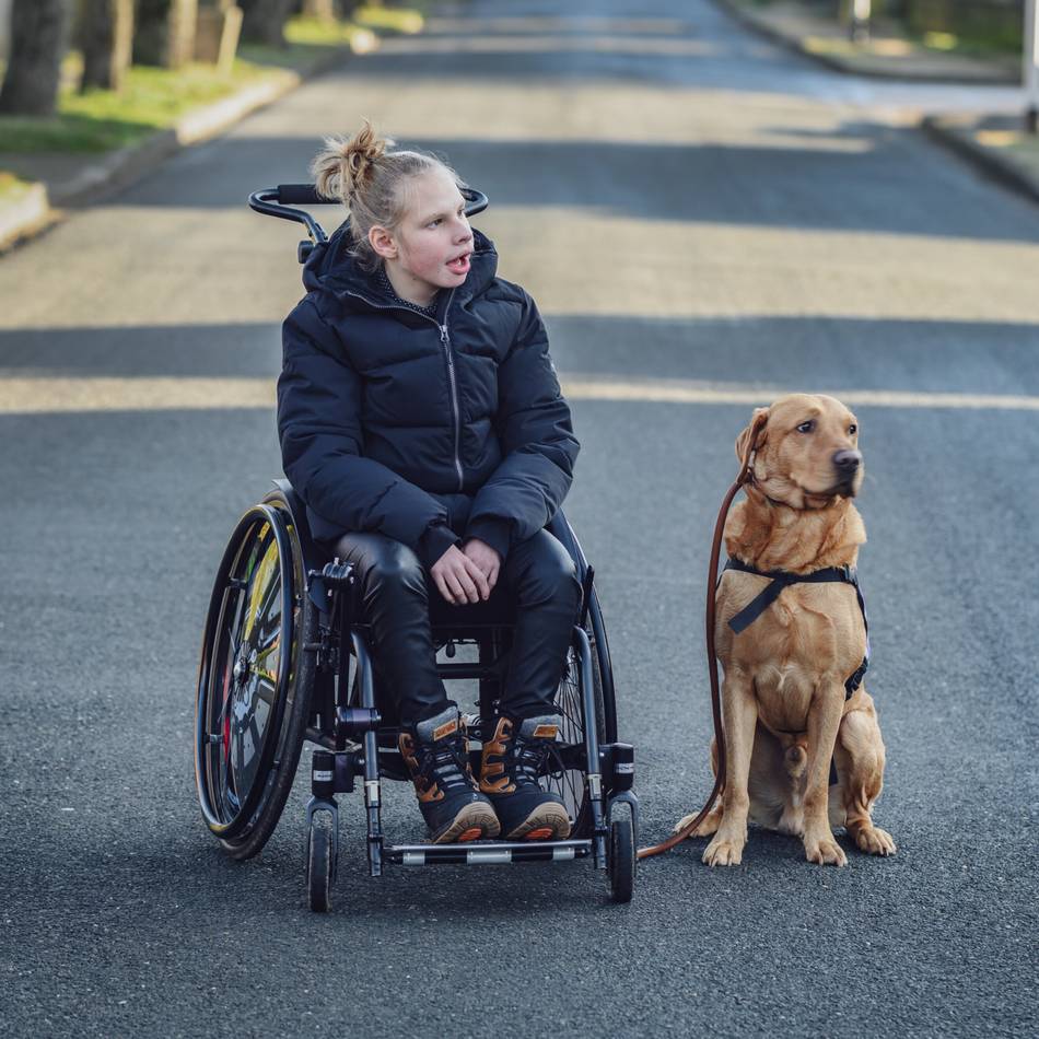 Assistenzhund in Ausbildung: Wie Labrador Didda Lenis schwerste Momente leichter macht