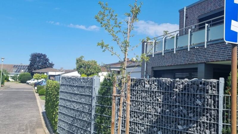 Konsequenzen für Anwohner: Dr.-Jakob-Herle-Straße in Erkelenz wird umbenannt