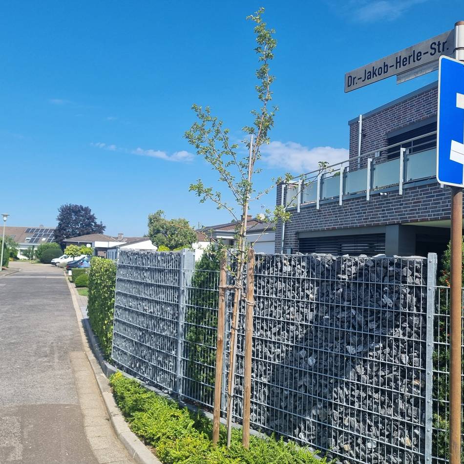 Konsequenzen für Anwohner: Dr.-Jakob-Herle-Straße in Erkelenz wird umbenannt