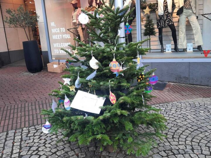 Dreister Diebstahl?: Weihnachtsbäume in Klever Innenstadt aufgestellt – einer ist schon verschwunden