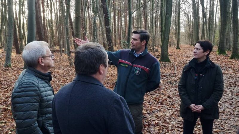 900 Hektar rund um Wegberg: „Großer Schatz“ – Land will Wald besser schützen