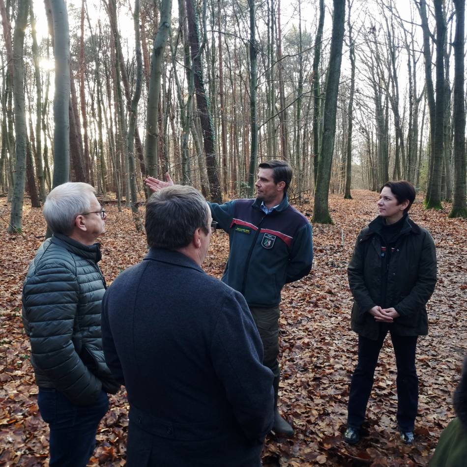 900 Hektar rund um Wegberg: „Großer Schatz“ – Land will Wald besser schützen