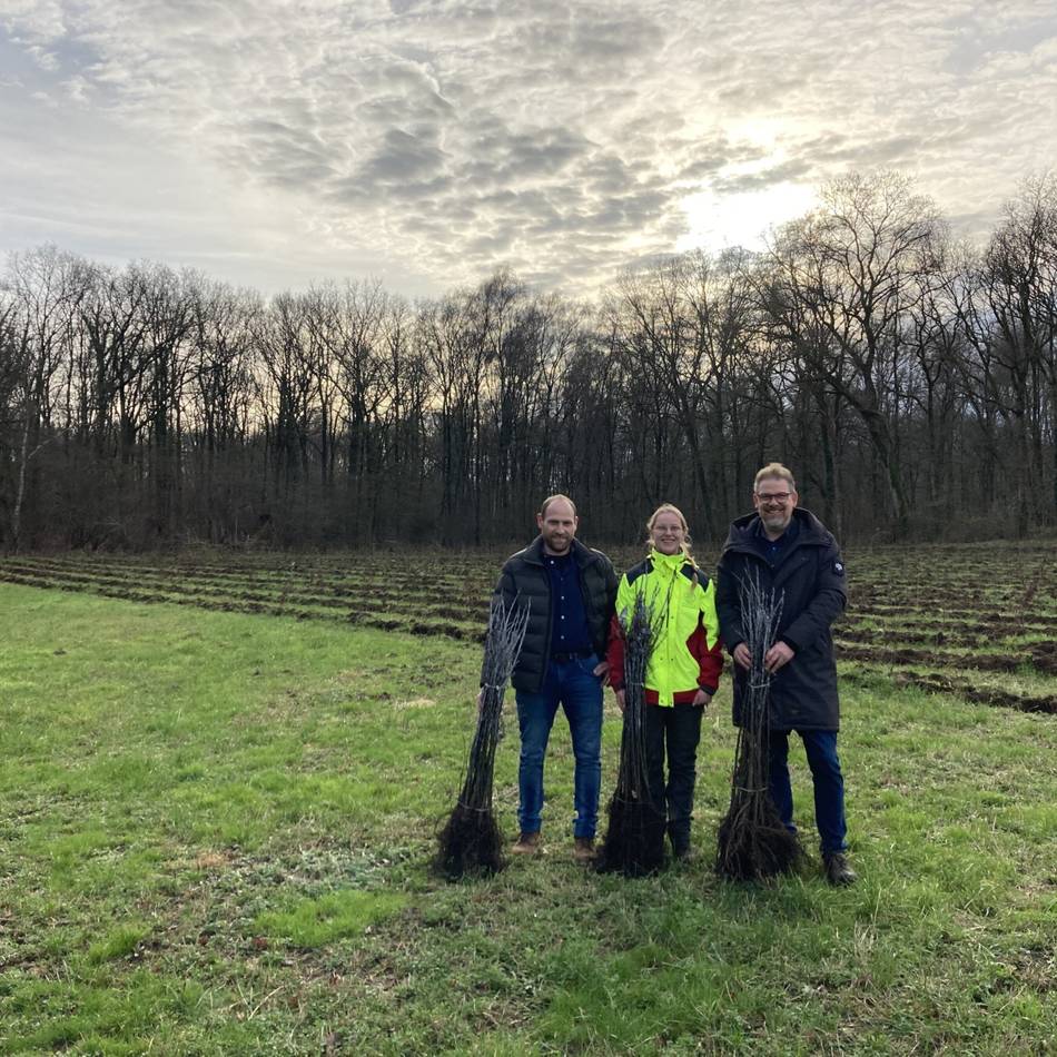Aufforstung ist gestartet: Mehr Bäume für Issum